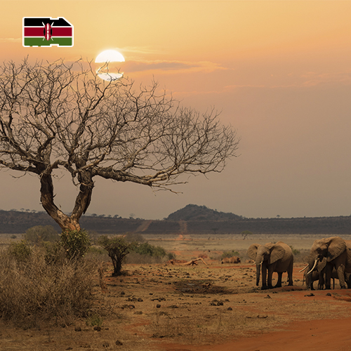 Data Sim Card Kenya - 1GB