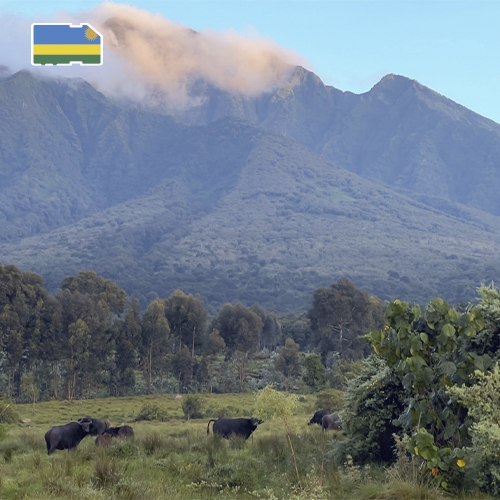 De naam Rwanda is verborgen (30 december)