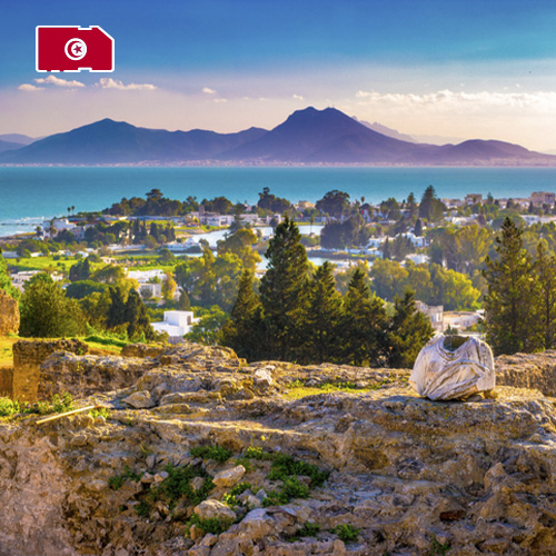 Data SIM Card Tunisia 1GB (7 days)