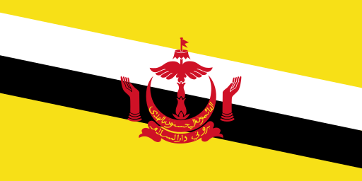 Roam-On Brunei 2GB 