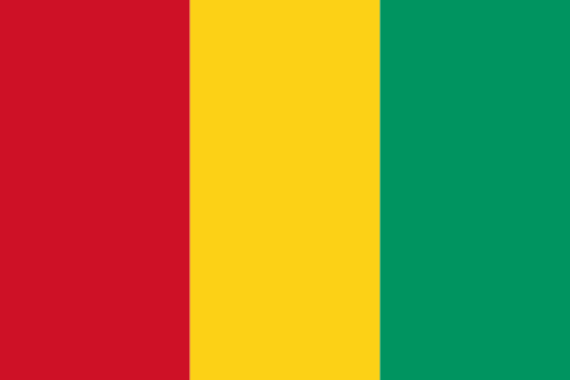 Roam-On Guinea 2GB 