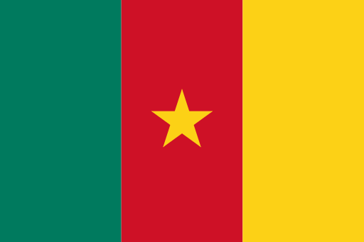 Roam-On Cameroon 5GB 