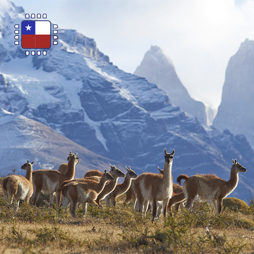 [WW_901O_STACK_ONEOFF_CHILE_25GB_30D] Chili opwaarderen 25 GB (30 dagen)