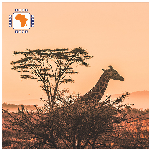 [WW_901O_STACK_ONEOFF_AFRICA2_3GB_15D] Top Up Africa 3GB (15 days)