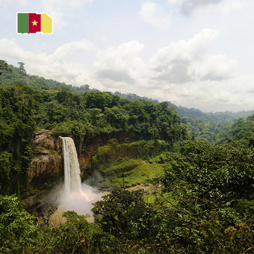 [WW_901O_STACK_ONEOFF_CAMEROON_10GB_30D] Data SIM Card Cameroon 10GB (30 days)