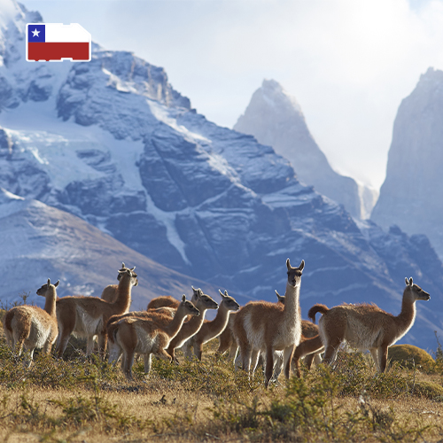 [WW_901O_STACK_ONEOFF_CHILE_10GB_30D] Data SIM Card Chile 10GB (30 days)